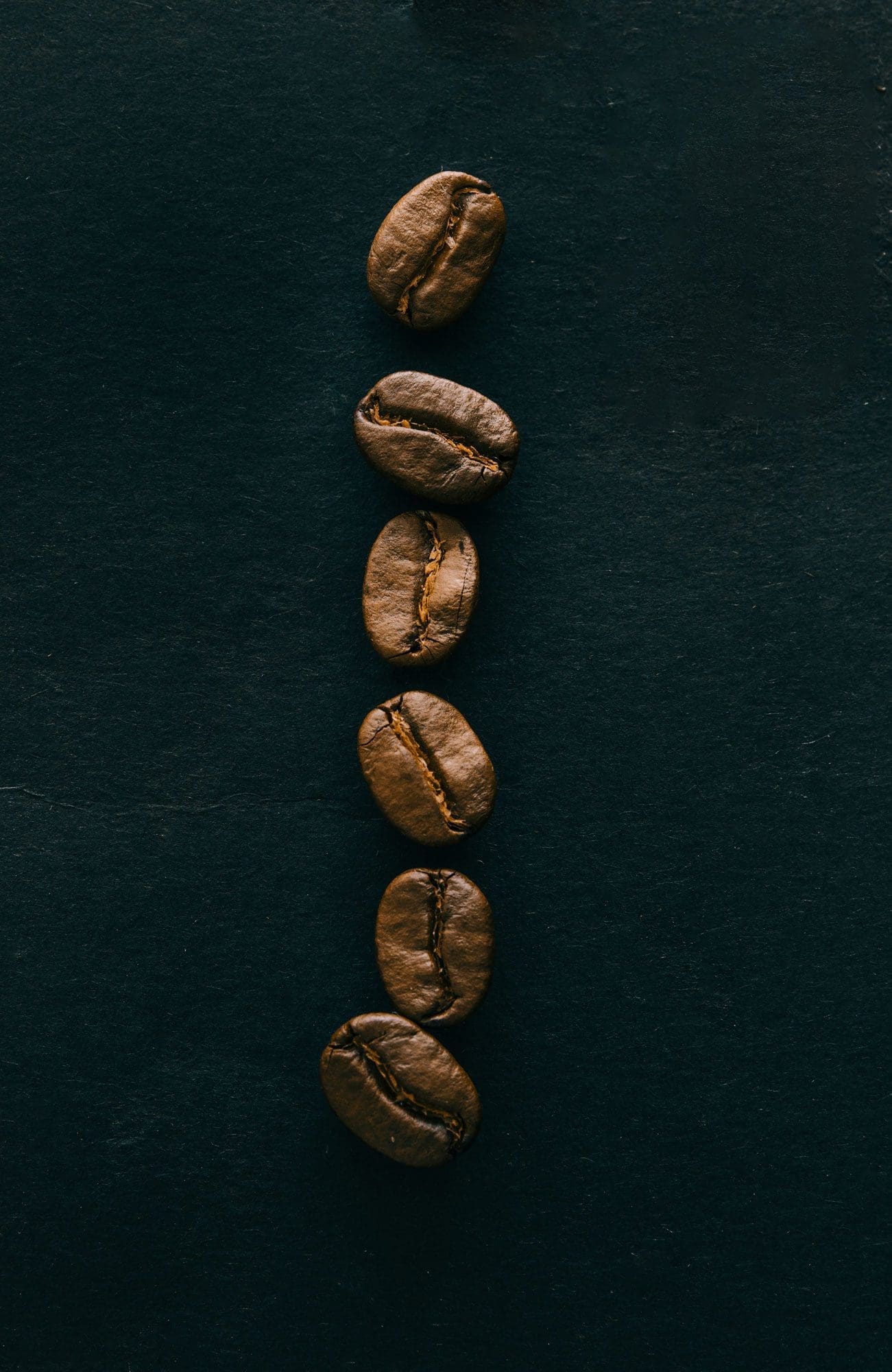max-d-photography-zwQTkDfzWS0-unsplash